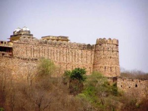 Karauli Fort