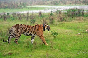 Keladevi Wildlife Sanctuary 4