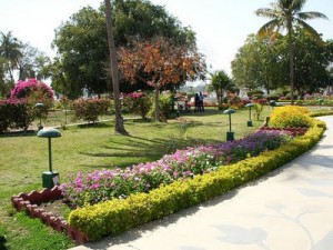 Nehru garden1