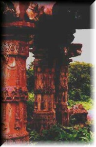 Pillars in Timargarh fort