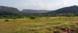 Ranthambore National Park